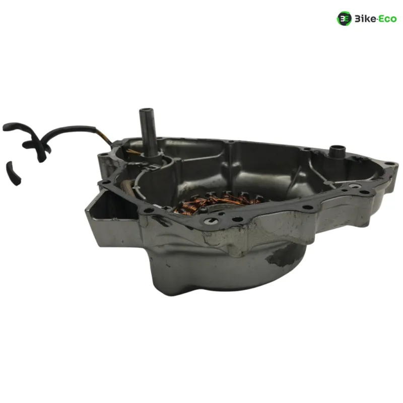 Stator alternateur SUZUKI GS 500 E 2001-2002