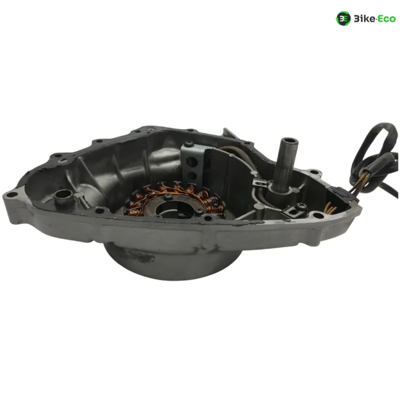 Stator alternateur SUZUKI GS 500 E 2001-2002