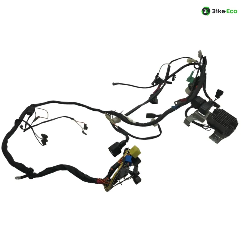 Faisceau electrique SUZUKI GS 500 E 2001-2002