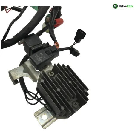 Faisceau electrique SUZUKI GS 500 E 2001-2002