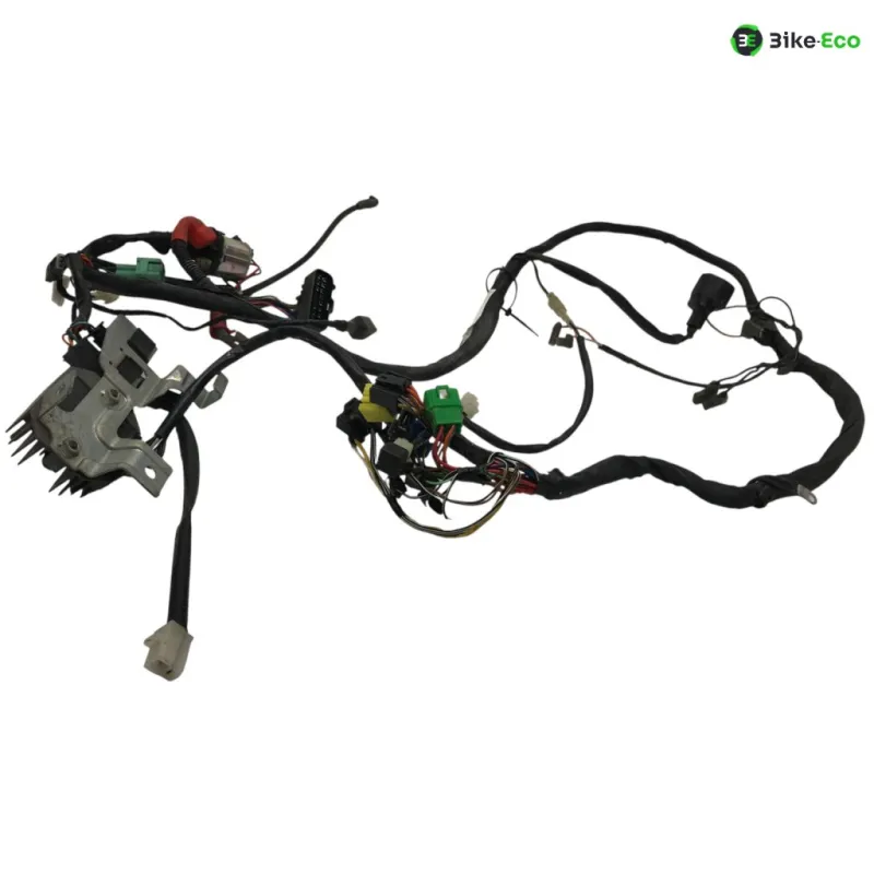 Faisceau electrique SUZUKI GS 500 E 2001-2002
