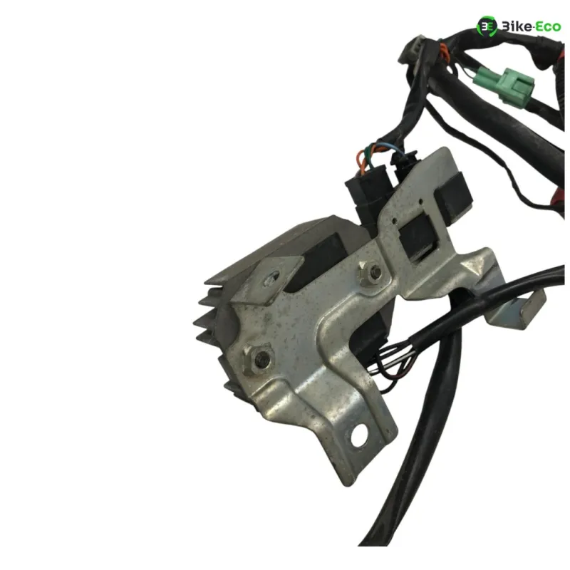 Faisceau electrique SUZUKI GS 500 E 2001-2002