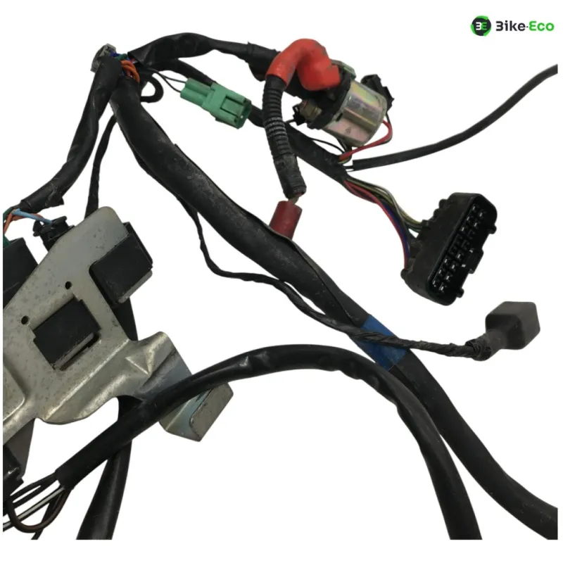 Faisceau electrique SUZUKI GS 500 E 2001-2002
