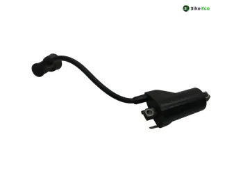 Bobine allumage SUZUKI GS 500 E 2001-2002