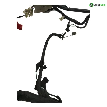 Faisceau electrique HONDA XL V 600 1991-1993 TRANSALP
