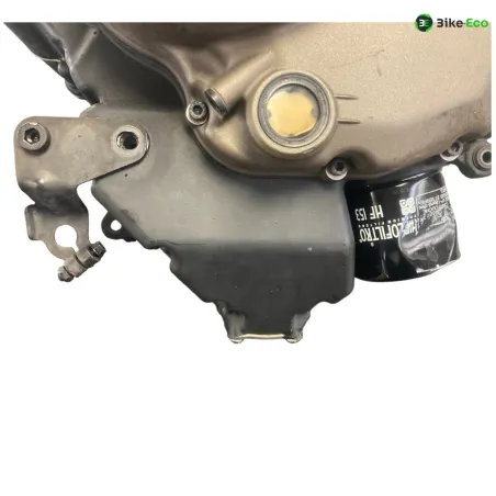 Moteur DUCATI MONSTER 1200 S 2015-2016