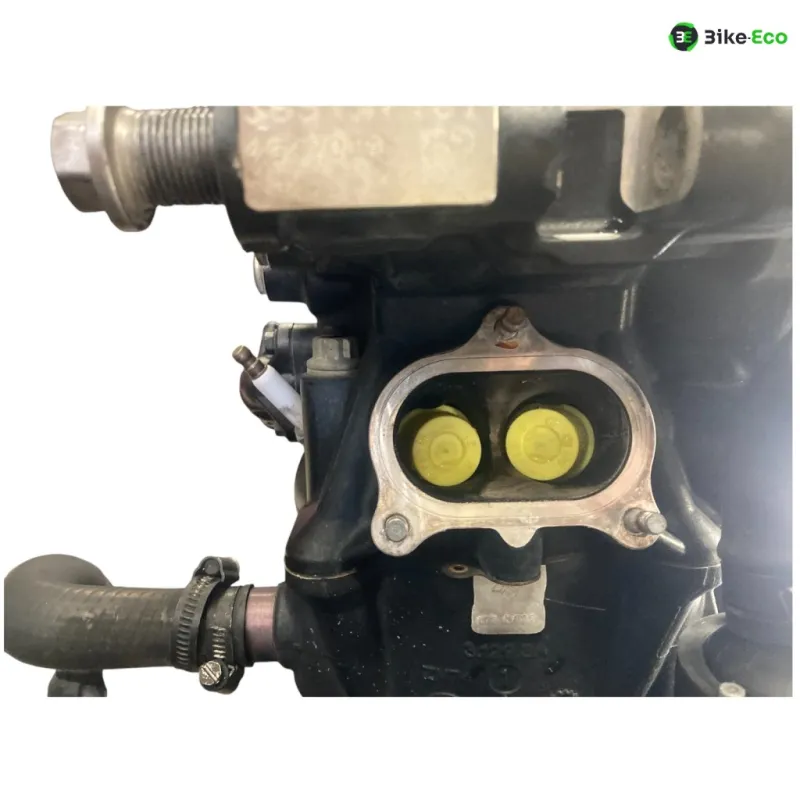 Moteur DUCATI MONSTER 1200 S 2015-2016