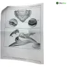 Cache carenage face avant CAN AM SPYDER ST 1000 2016 Cache carenage face avant CAN AM SPYDER ST 1000 2016