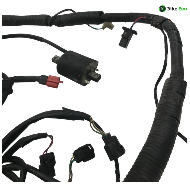 Faisceau electrique SYM GTS 125 2010-2013 I EVO