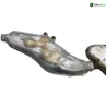 Ligne d'echappement GASGAS GT12 125 1991-1993 CONTACT Ligne d'echappement GASGAS GT12 125 1991-1993 CONTACT
