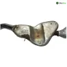 Ligne d'echappement GASGAS GT12 125 1991-1993 CONTACT Ligne d'echappement GASGAS GT12 125 1991-1993 CONTACT