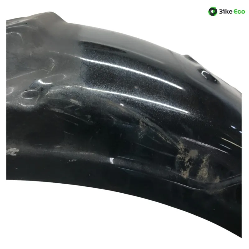 Garde boue arriere TRIUMPH TT 900 1998-2001 LEGEND