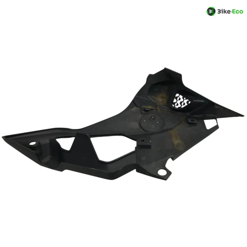 Cache flanc de carenage gauche BMW S 1000 R 2017-2020 K47