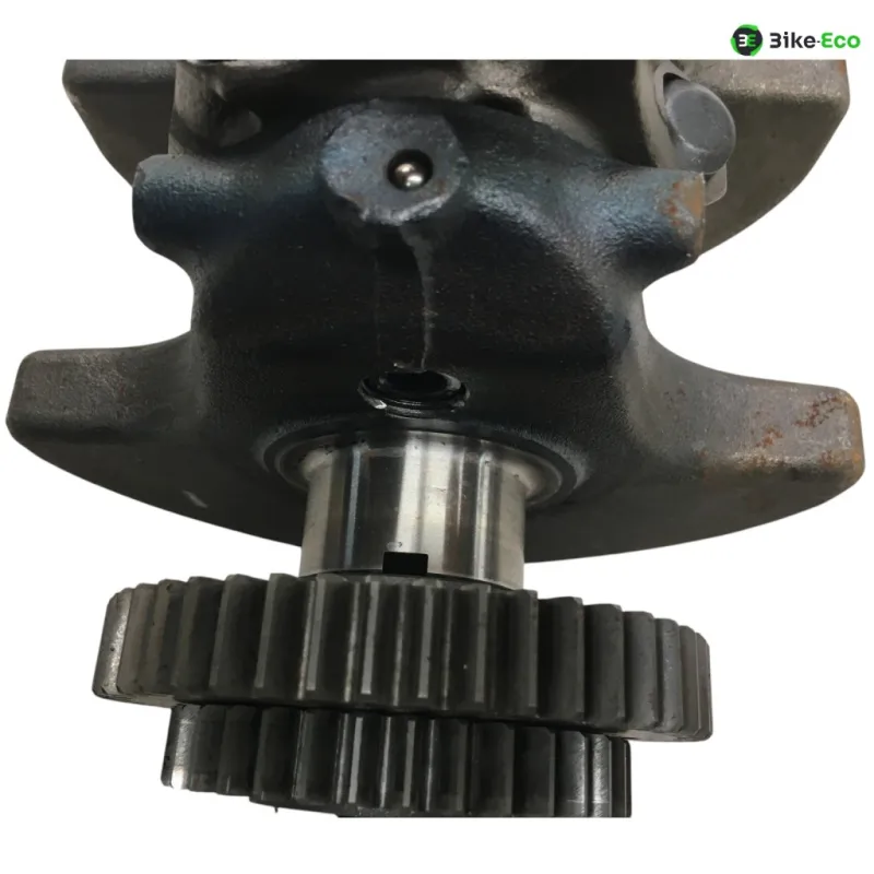 Vilebrequin YAMAHA BT 1100 2002-2004 BULLDOG