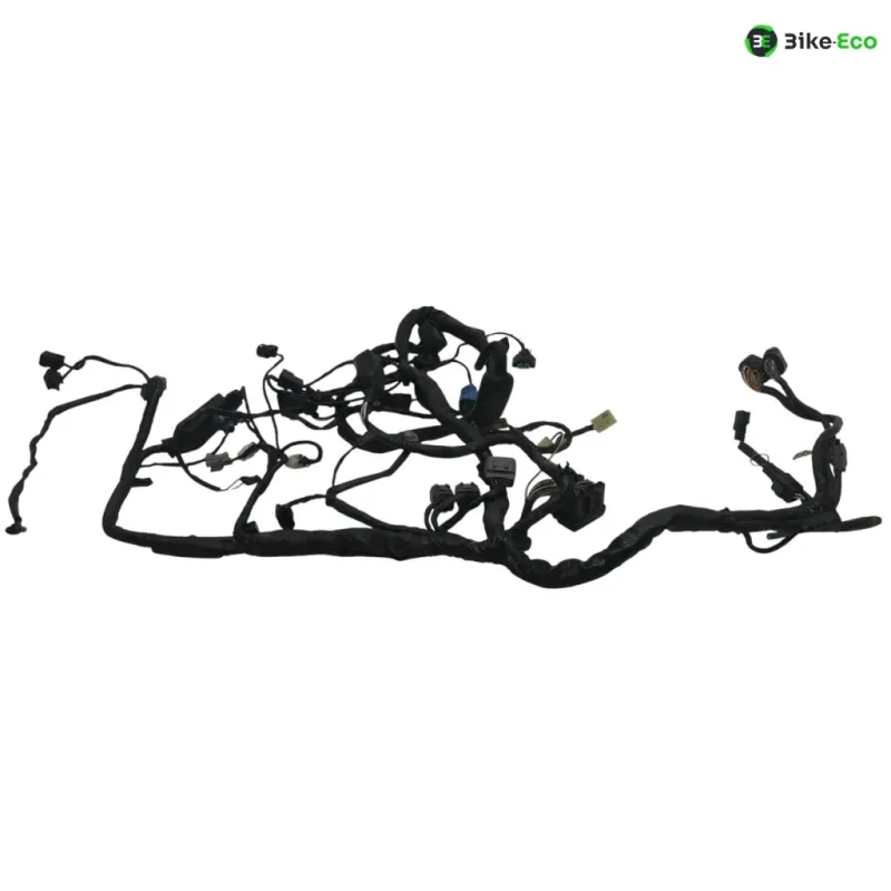 Faisceau electrique KAWASAKI ER6 650 2009-2011 N