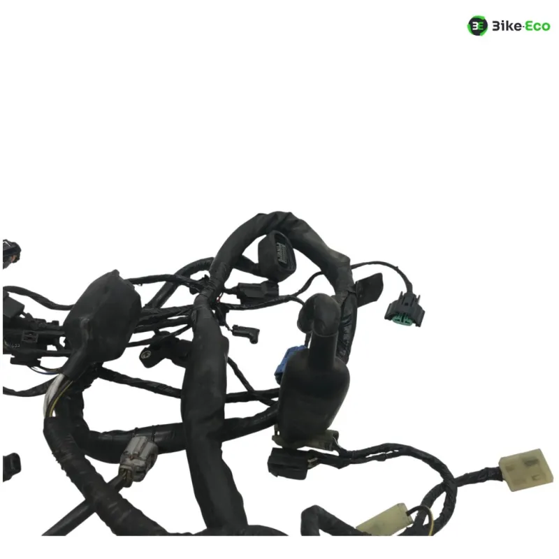 Faisceau electrique KAWASAKI ER6 650 2009-2011 N