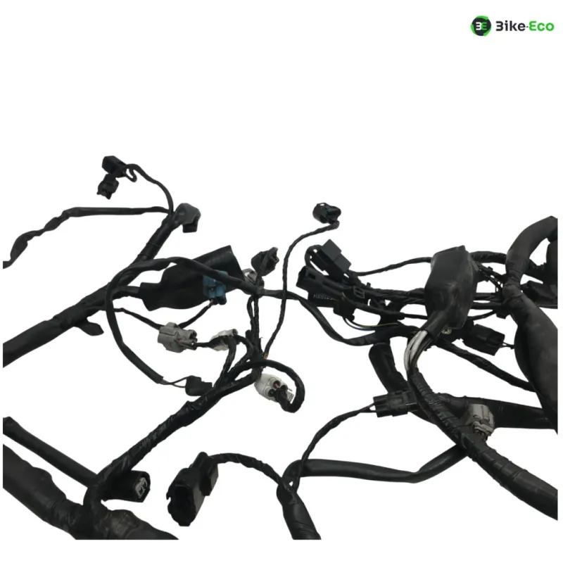 Faisceau electrique KAWASAKI ER6 650 2009-2011 N