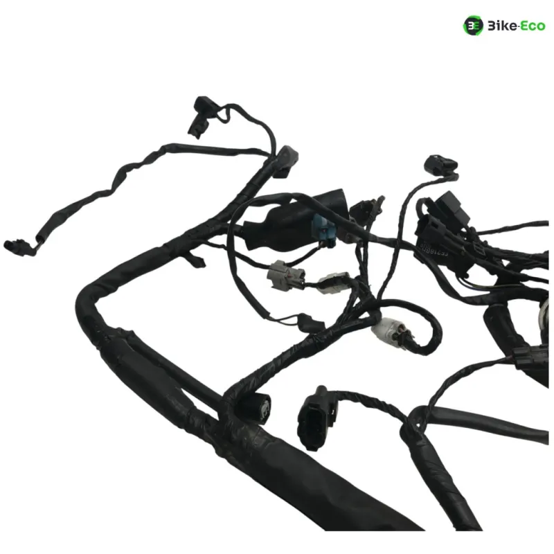Faisceau electrique KAWASAKI ER6 650 2009-2011 N