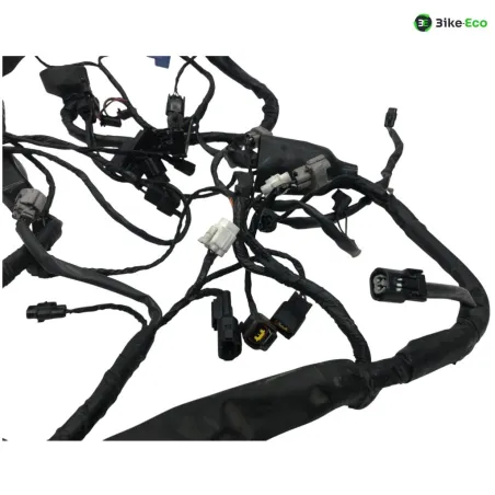 Faisceau electrique KAWASAKI ER6 650 2009-2011 N