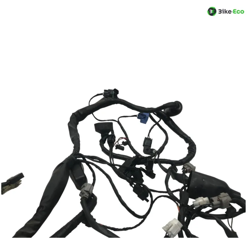 Faisceau electrique KAWASAKI ER6 650 2009-2011 N