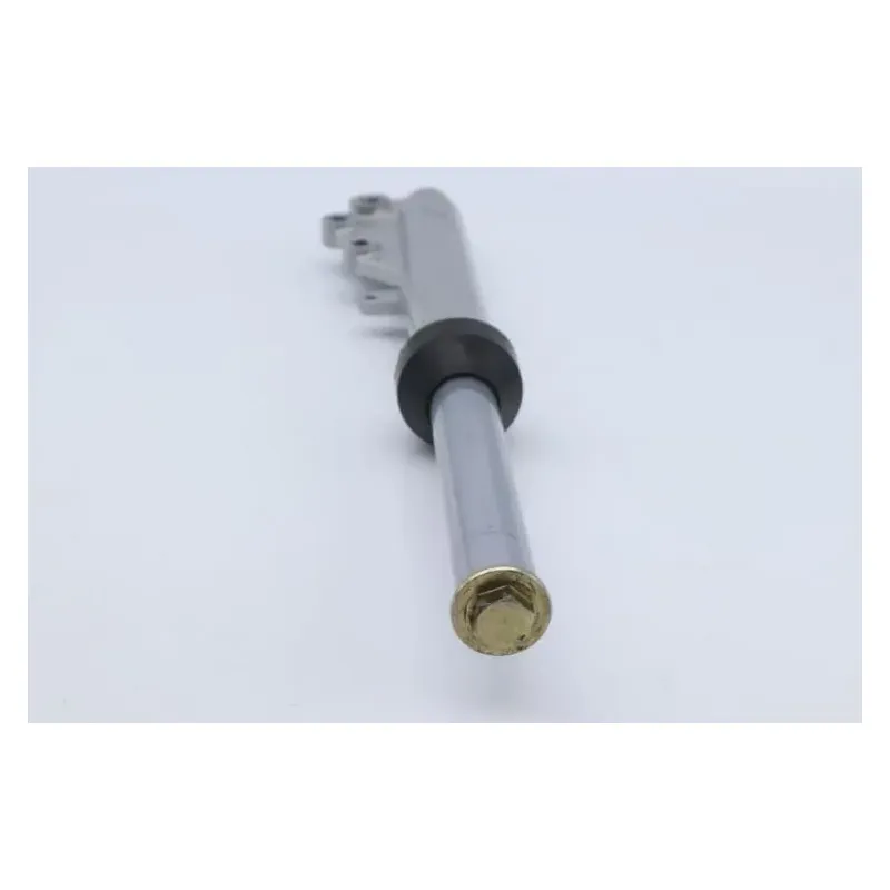 Tube de fourche gauche LAZIO RENO 50 2018 - 2025
