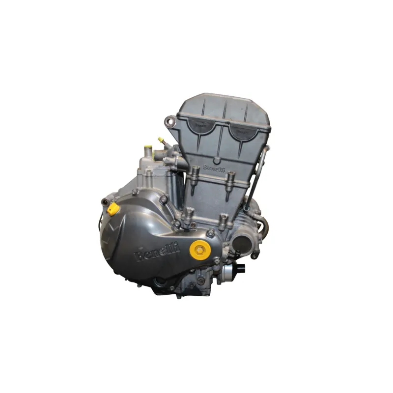 Moteur BENELLI TNT 1130 TORNADO 2006 - 2010