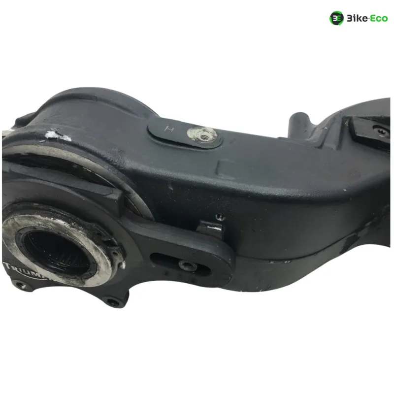 Bras oscillant TRIUMPH SPEED TRIPLE 1050 2005-2007