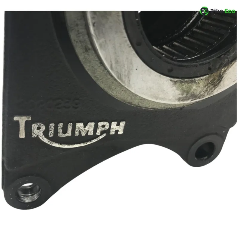 Bras oscillant TRIUMPH SPEED TRIPLE 1050 2005-2007