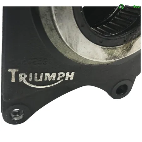 Bras oscillant TRIUMPH SPEED TRIPLE 1050 2005-2007