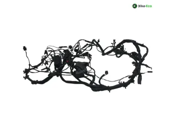 Faisceau electrique BMW F 800 R 2015-2019