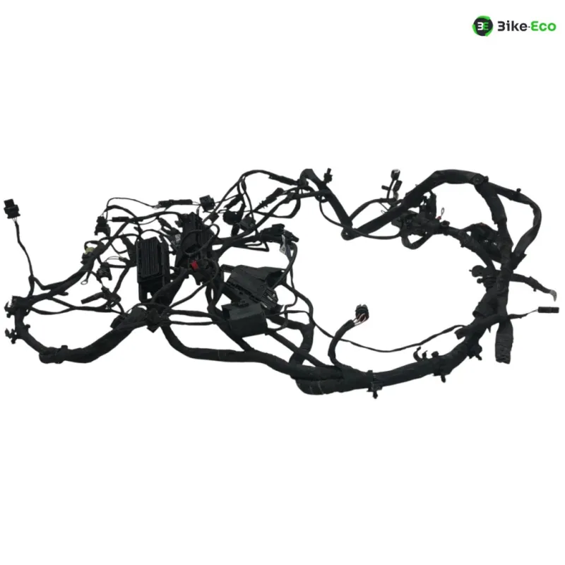 Faisceau electrique BMW F 800 R 2015-2019