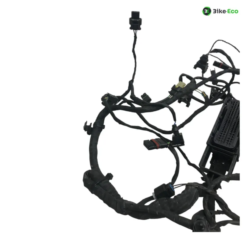 Faisceau electrique BMW F 800 R 2015-2019