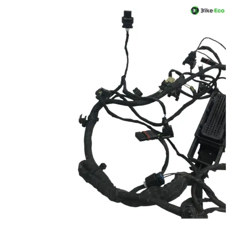 Faisceau electrique BMW F 800 R 2015-2019