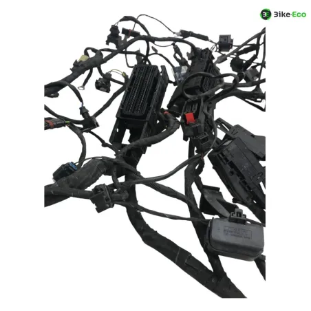 Faisceau electrique BMW F 800 R 2015-2019