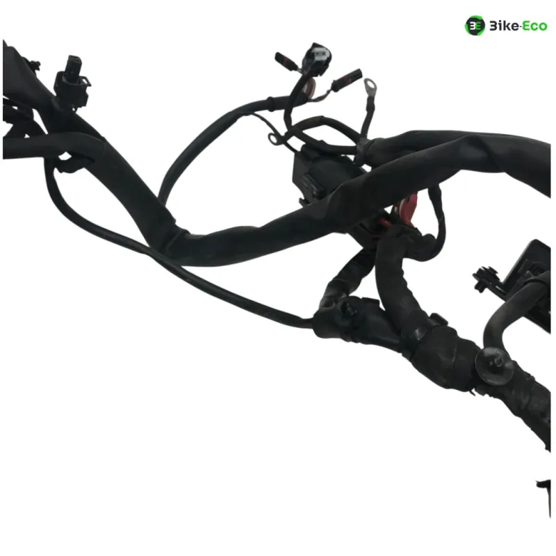 Faisceau electrique BMW F 800 R 2015-2019