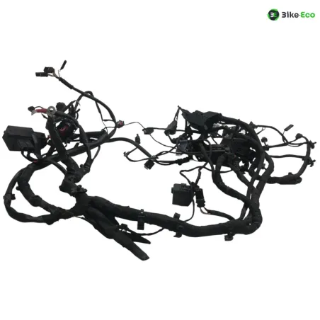 Faisceau electrique BMW F 800 R 2015-2019