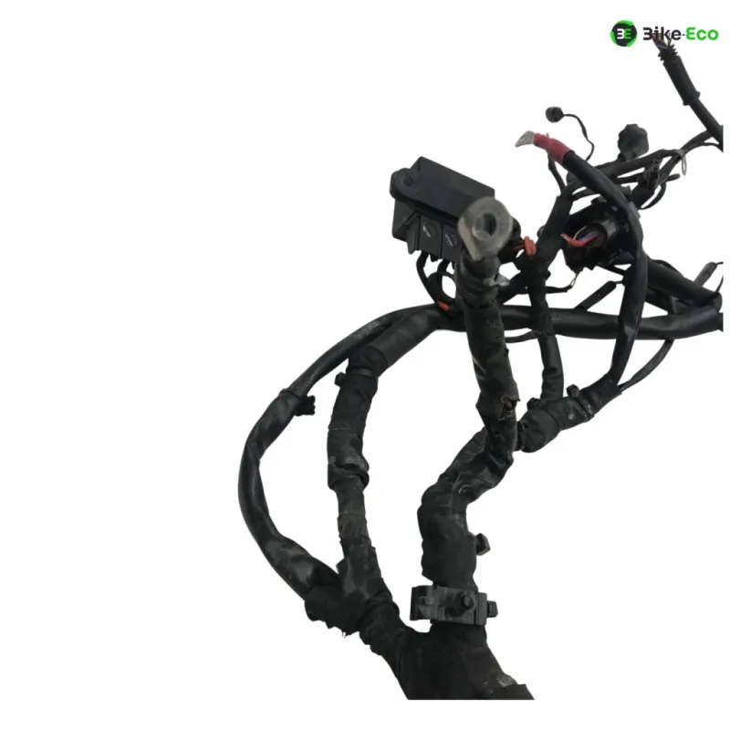 Faisceau electrique BMW F 800 R 2015-2019