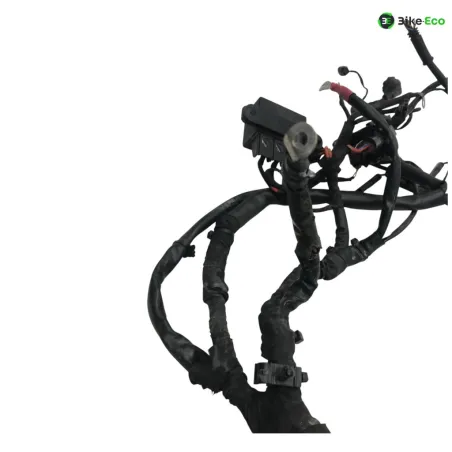 Faisceau electrique BMW F 800 R 2015-2019
