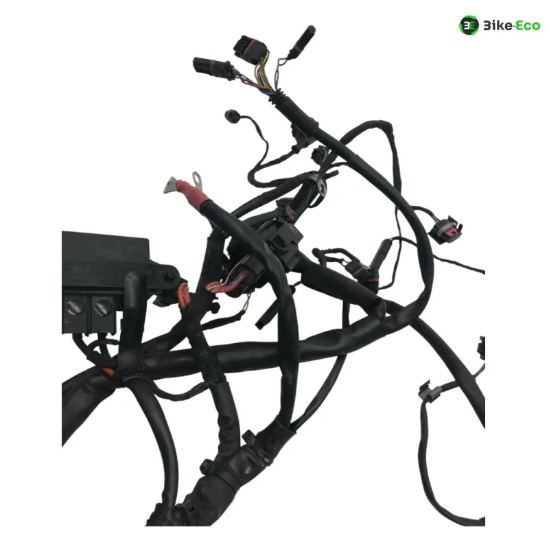 Faisceau electrique BMW F 800 R 2015-2019