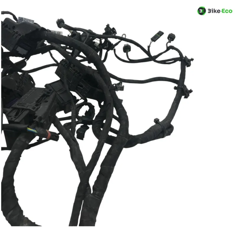 Faisceau electrique BMW F 800 R 2015-2019