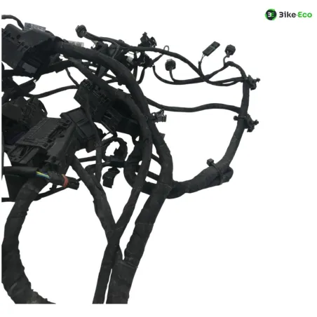 Faisceau electrique BMW F 800 R 2015-2019