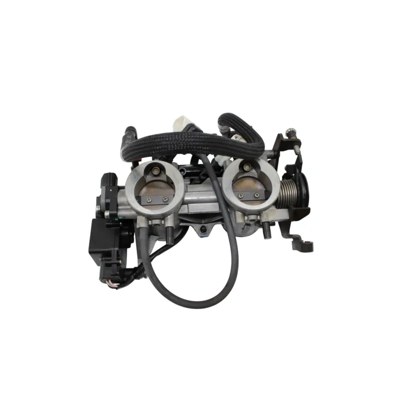 Rampe d'injection KAWASAKI KLE 650 VERSYS ABS 2007 - 2009
