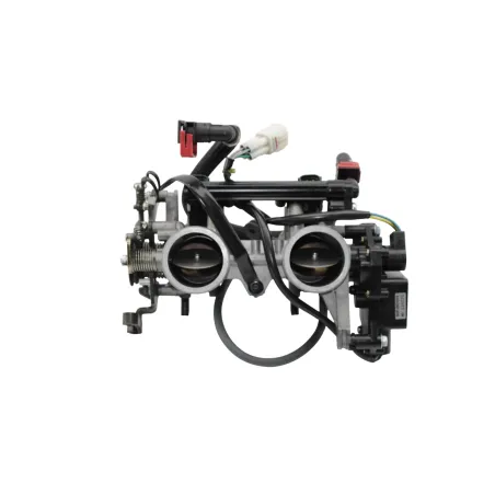 Rampe d'injection KAWASAKI KLE 650 VERSYS ABS 2007 - 2009