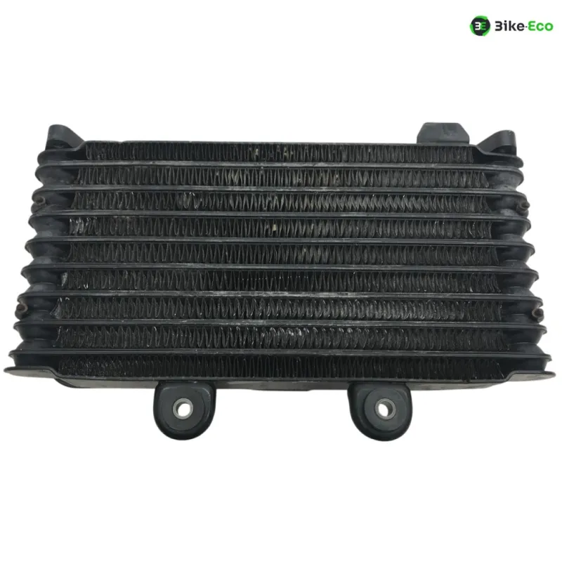 Radiateur huile SUZUKI GSF 600 2000-2004 BANDIT S