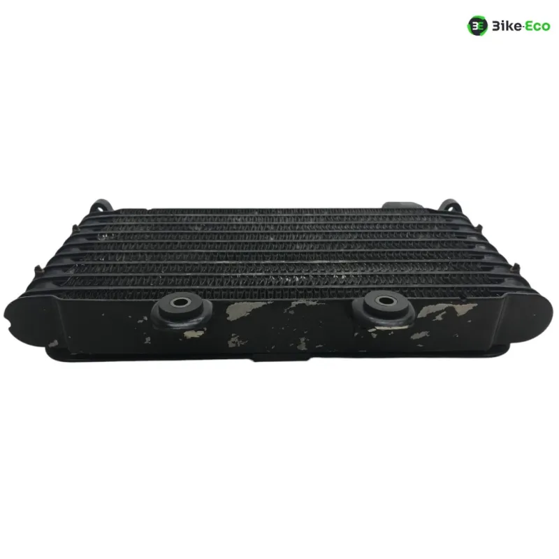 Radiateur huile SUZUKI GSF 600 2000-2004 BANDIT S