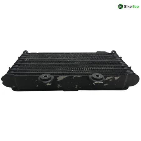 Radiateur huile SUZUKI GSF 600 2000-2004 BANDIT S