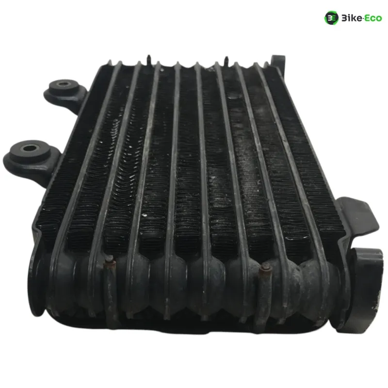 Radiateur huile SUZUKI GSF 600 2000-2004 BANDIT S