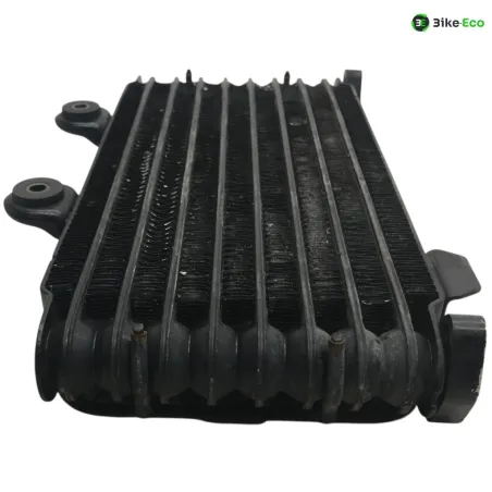 Radiateur huile SUZUKI GSF 600 2000-2004 BANDIT S