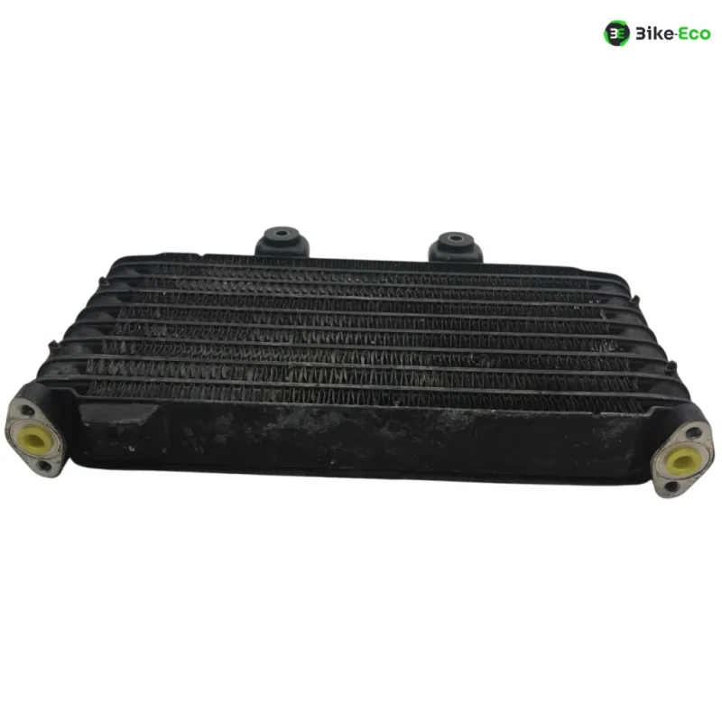 Radiateur huile SUZUKI GSF 600 2000-2004 BANDIT S