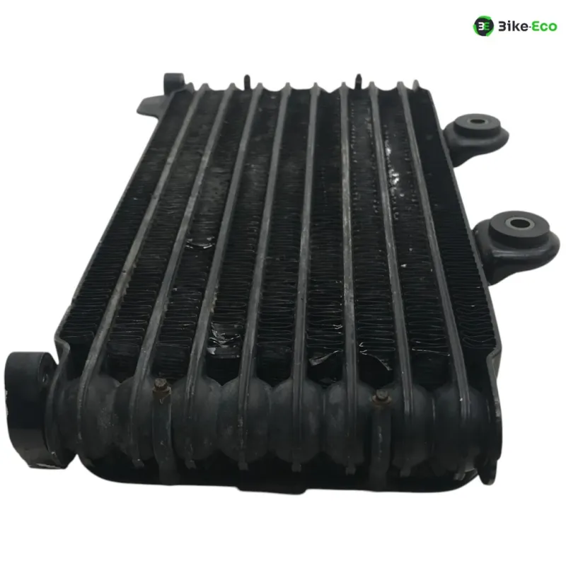 Radiateur huile SUZUKI GSF 600 2000-2004 BANDIT S